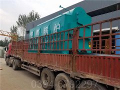 六吨冷凝导热油炉