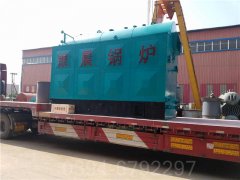 八吨冷凝导热油炉