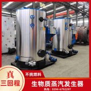 WNS0.7-1.0-QY天然气蒸汽锅炉银晨锅炉集团